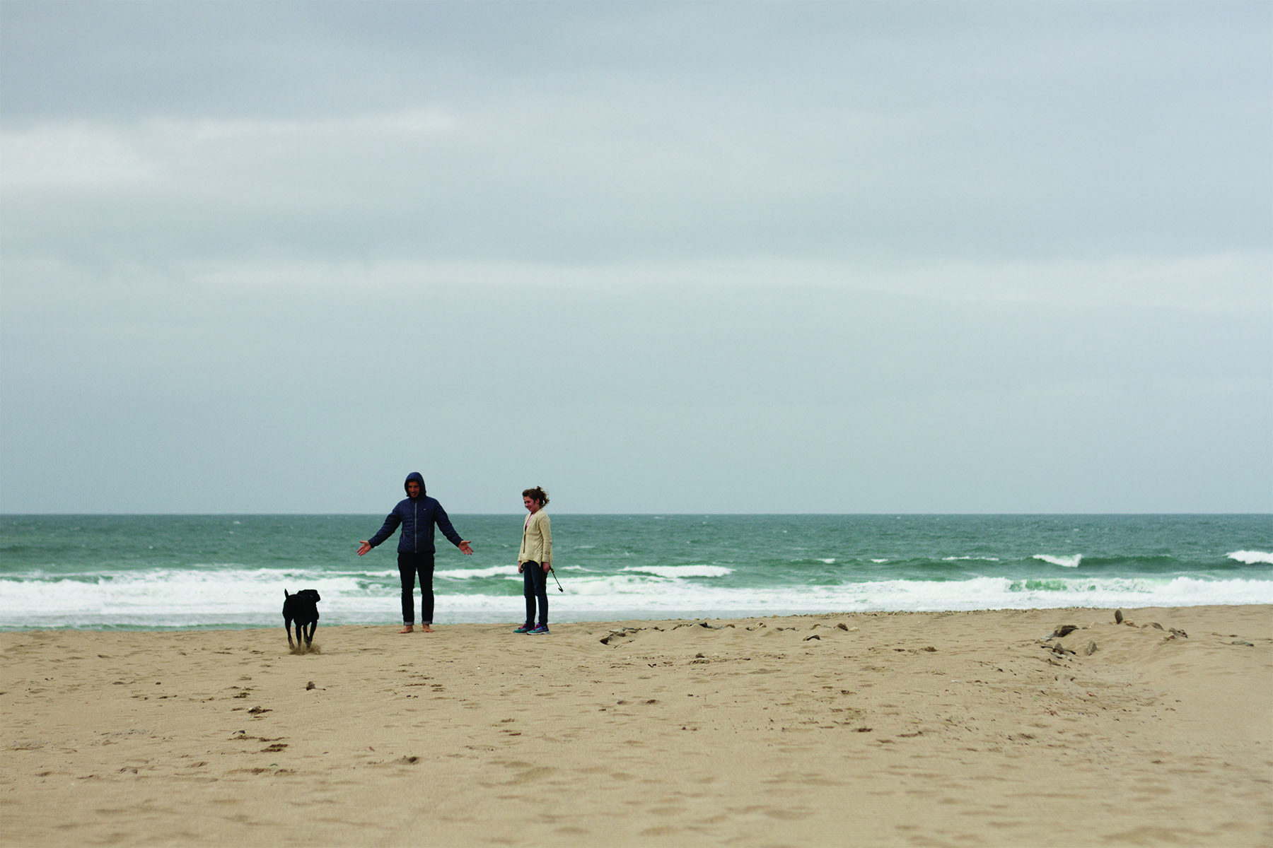 Alex and Jason otter wooden surfboard workshop October 2014 dog walks on the beach