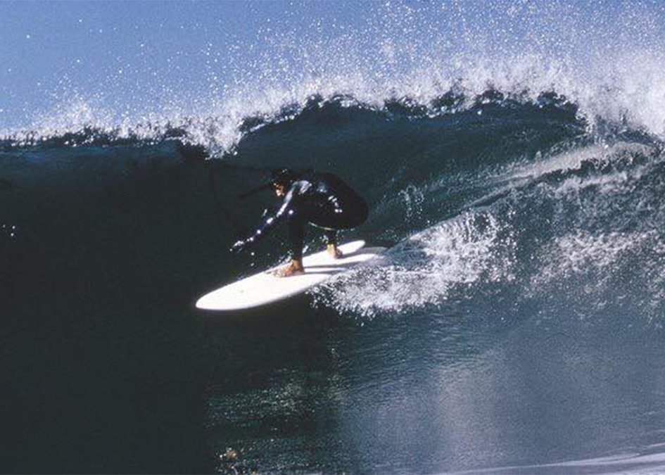 Jeff Ching Lis Fish by Warren Bolster post