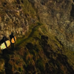 Tony and James Otter walk down the cliff path with their wooden surfboards. Jetty and Seadar