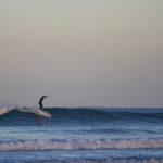 Chris runs to the nose arms up on the Otter Surfboards wooden longboard Seasaw at Godrevy