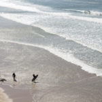 James Otter and Tom with wooden surfboards on the coast in Cornwall Wicket and Coaster silhouettes in summer
