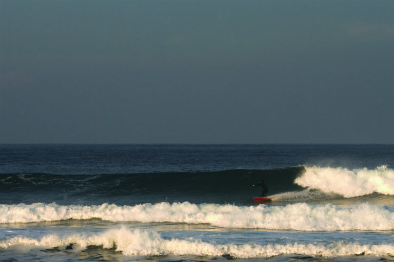 James Otter fetch wooden surfboard bottom turn