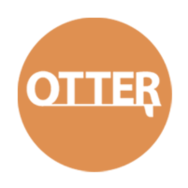 Otter Surfboards