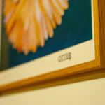the framer kernow otter surfboards ben cook