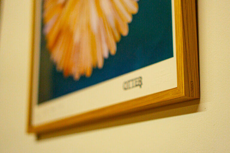 the framer kernow otter surfboards ben cook