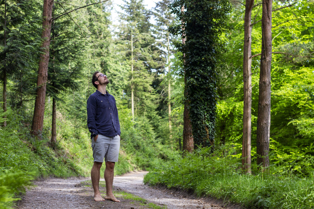 James Otter Woodland Stourhead western estate