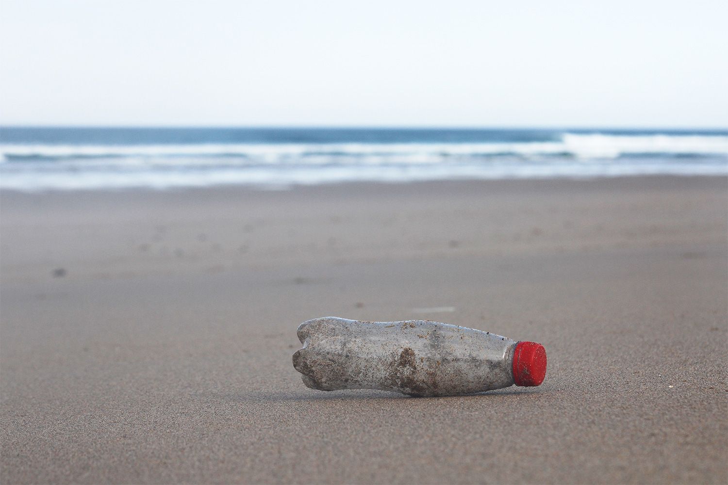 SAS beach clean plastic bottle
