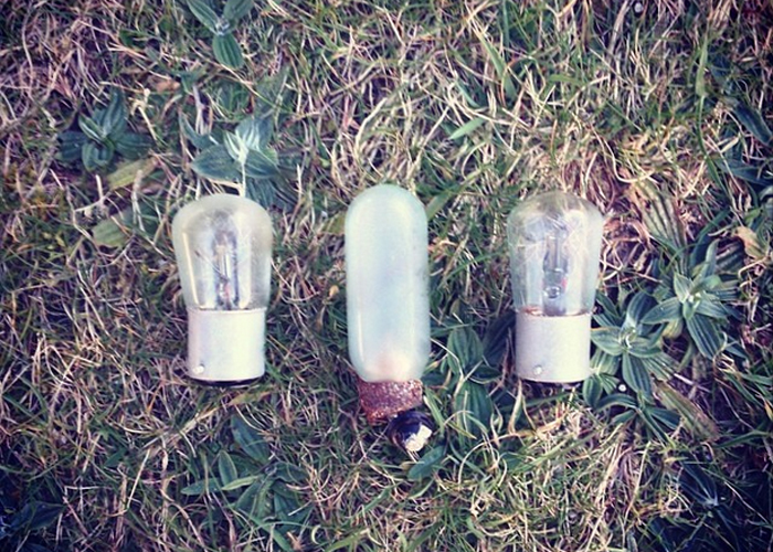 Martin Dorey 2minutebeachclean 2 minute beach clean Kfornia Lightbulbs