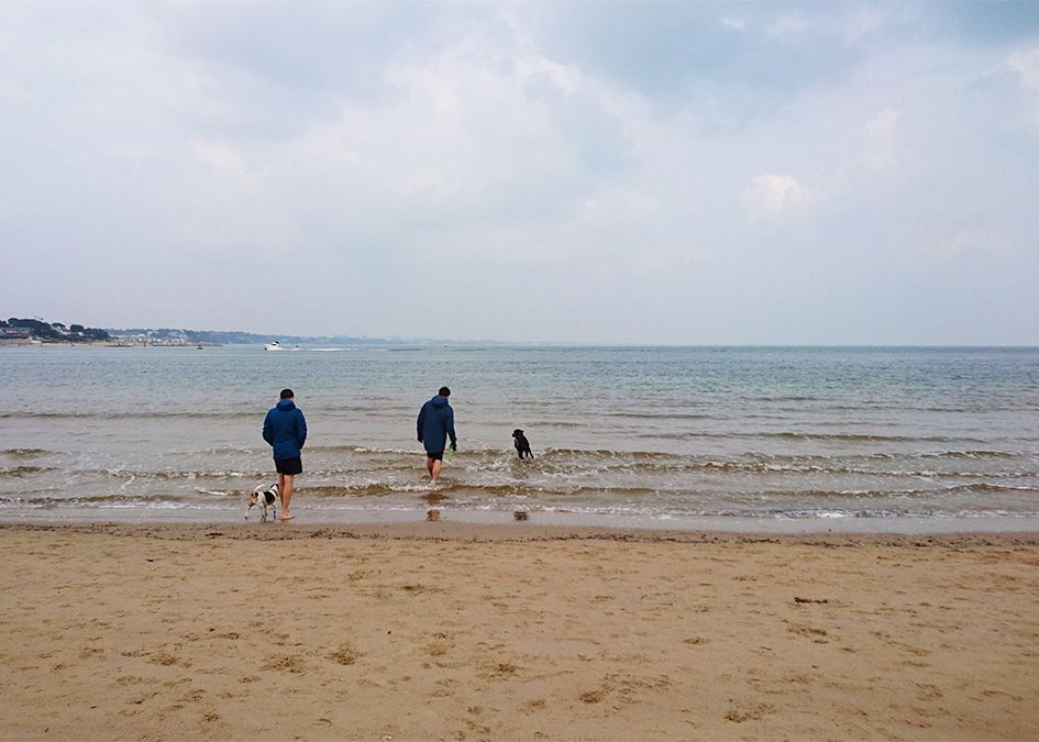 Otter beach walk