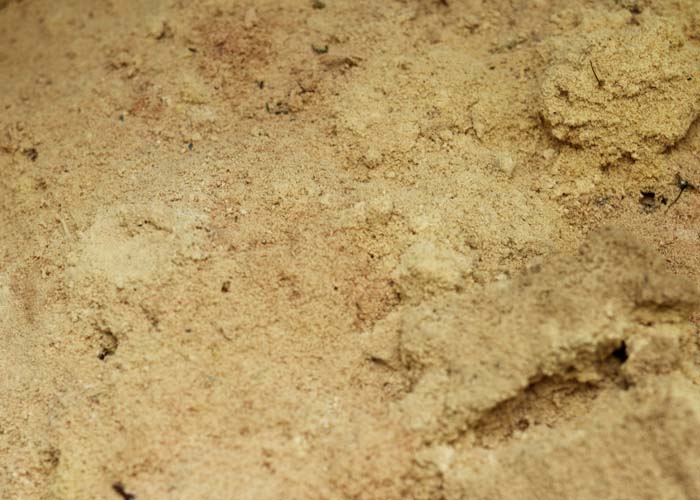 Sawdust