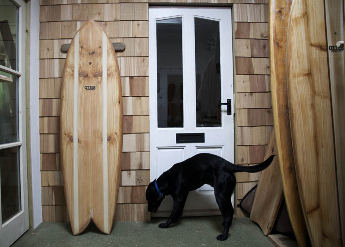 otter surfboards open studios wooden surfboards black labrador buddy