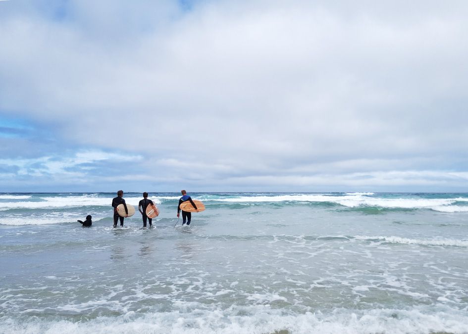 Otter wooden surfboard surfers