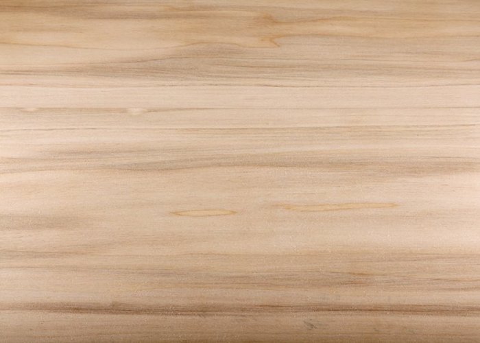 tulip wood grain closeup