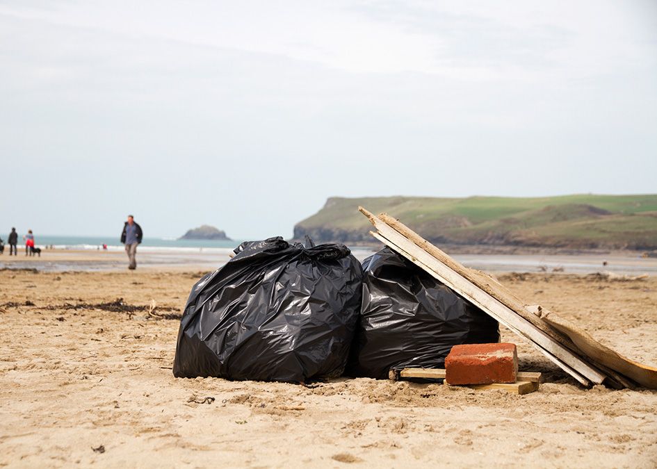 beach clean