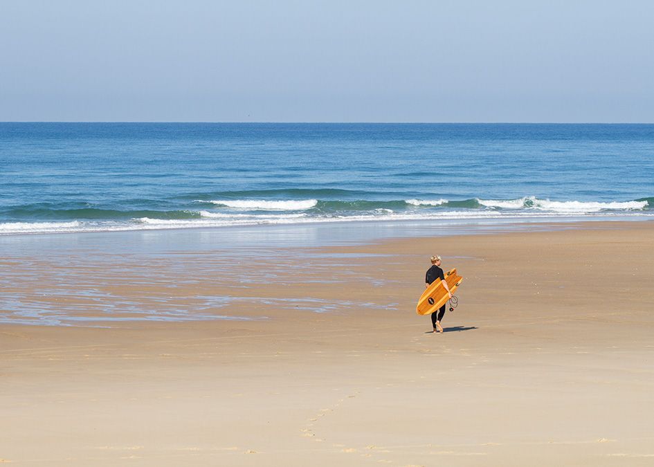 otter wooden surfboard beach