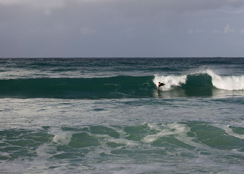 otter bodysurfing
