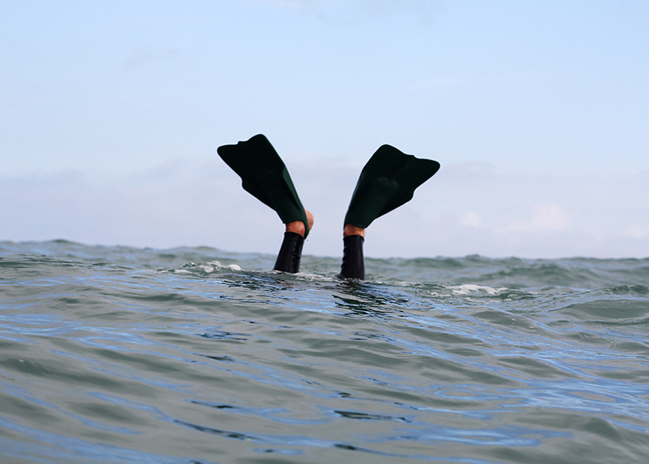 da fin swim fins otter
