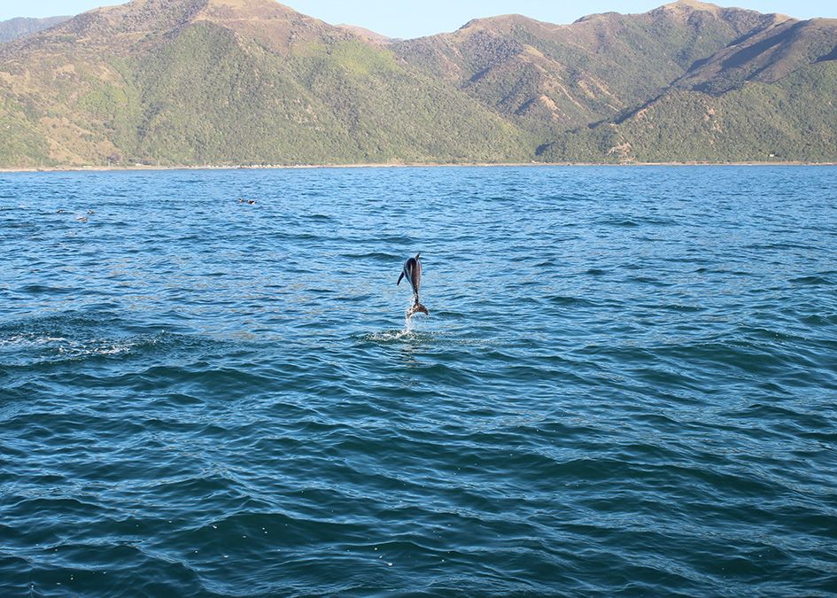 New Zealand