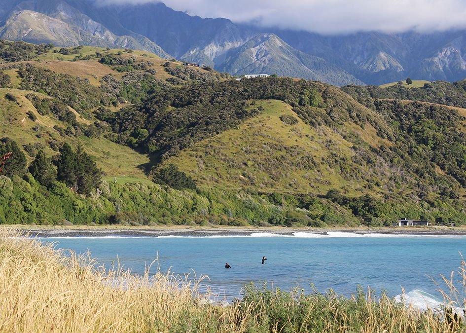 New Zealand