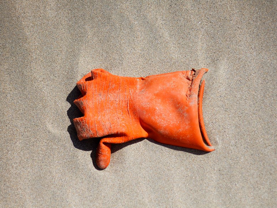 beach clean