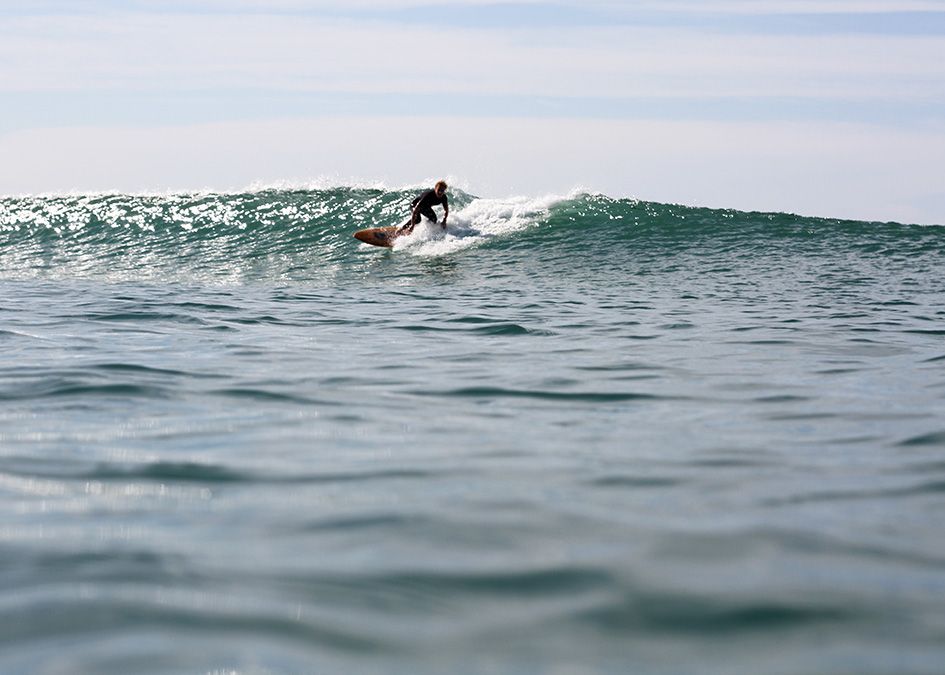 Otter wooden surfboard wave surfer
