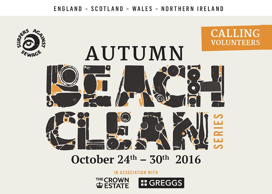 SAS beach clean