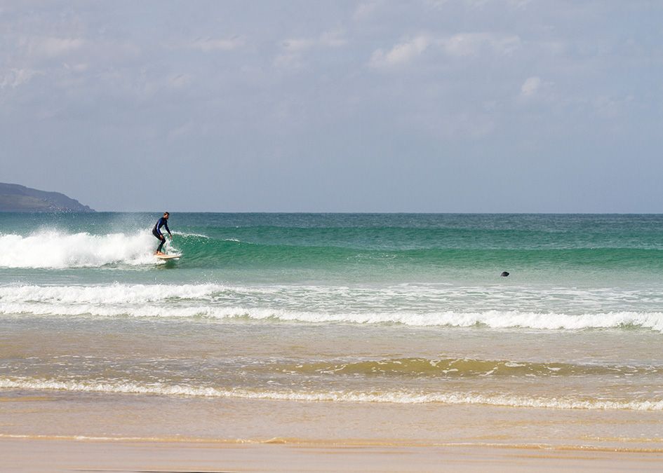 Otter wooden surfboard wave surfer