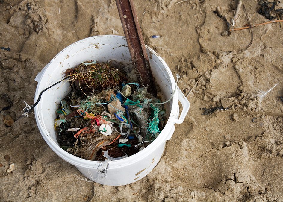 beach clean