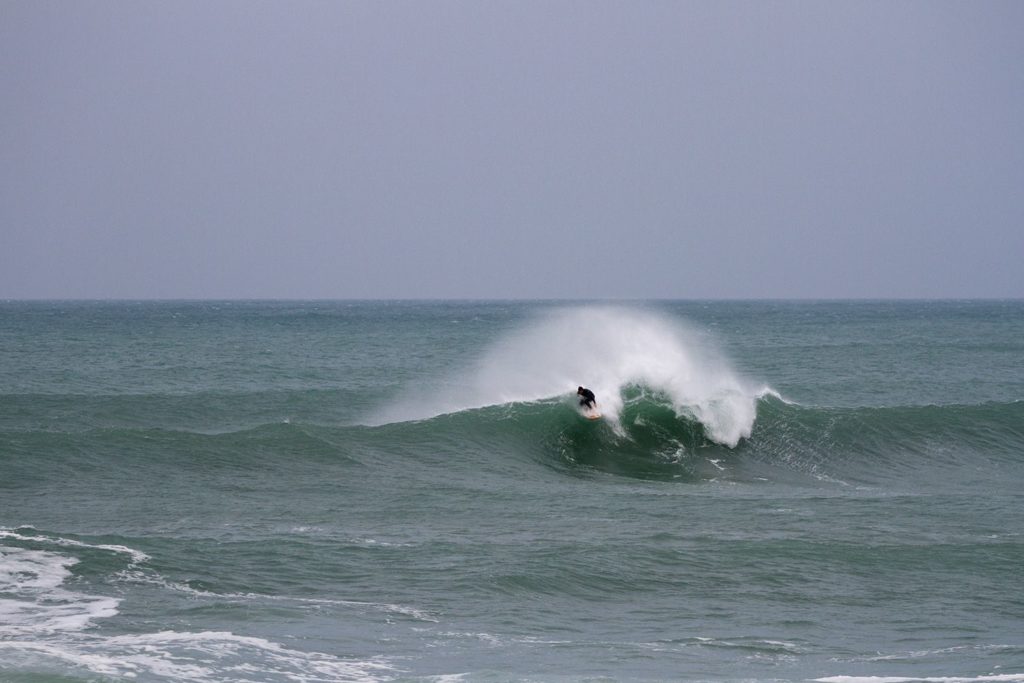 surfer wave otter wooden surfboard