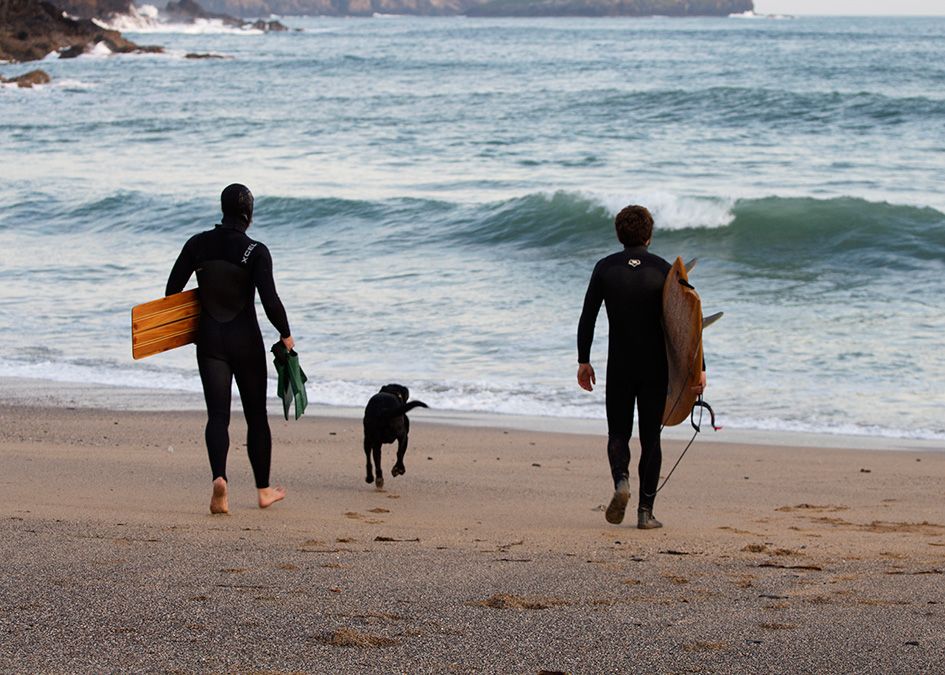 otter wooden surfboard surfer beach