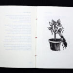 Flow Poems by The Surf Poet