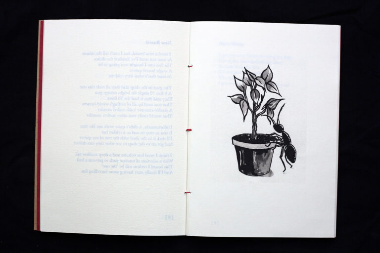 Flow Poems by The Surf Poet